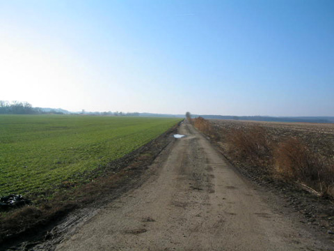 Foto 61